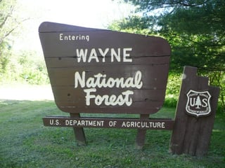 wayne national forest | things to do in nelsonville 