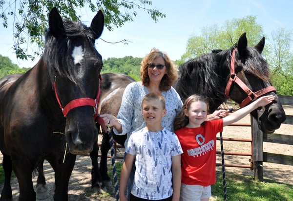 Horse Retirement Josie and Marie