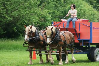 Horses pulling wagon