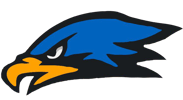 Hawk Head logo