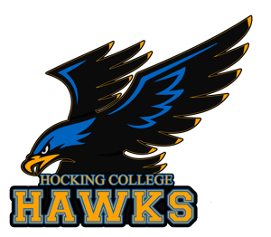 HawkLogo vector copy