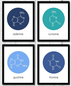 Chemical and Medical Cannabis Laboratory Sciences Program | Gifts to Get For A Workforce Development Student Under $30