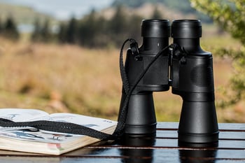 binoculars for birdwatching