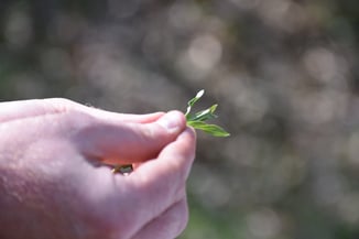 Environmental Education | Stanford University Analysis Cites Benefits of Environmental Education