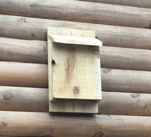 Hocking College Wildlife Club Students Craft and Hang Bat Boxes for Local Business