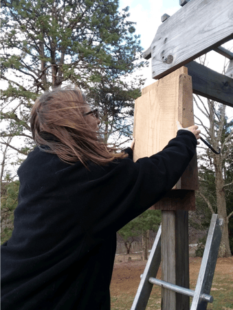 Hocking College Wildlife Club Students Craft and Hang Bat Boxes for Local Business