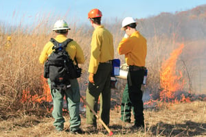 hot to become a firefighter | how to become a firefighter in ohio