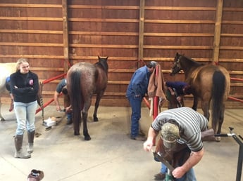 become a farrier