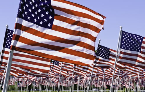 Many American flags flapping in the wind together on a national holiday-1