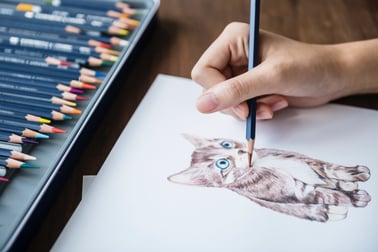 drawing of cat