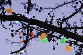 Holiday lights along silhouette of tree branch at sunset | Tips for Finding a Temporary Holiday Job