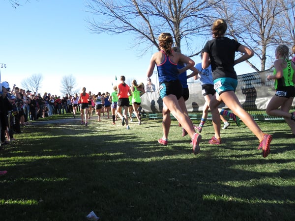 Womens Cross Country background