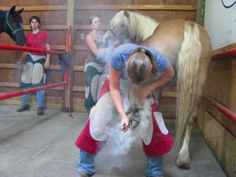 Farrier Science and Business Program | Equine Program Manager Wins Championship Title at National Thoroughbred Show