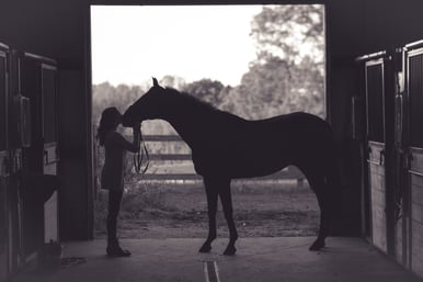 girl with horse