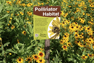 Hocking College Pollinator Habitat | Hocking College Launches New Natural Resources Conservation Contractor Certificate and Pollinator Habitat