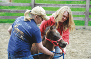 students with new horses