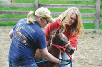 students with new horses