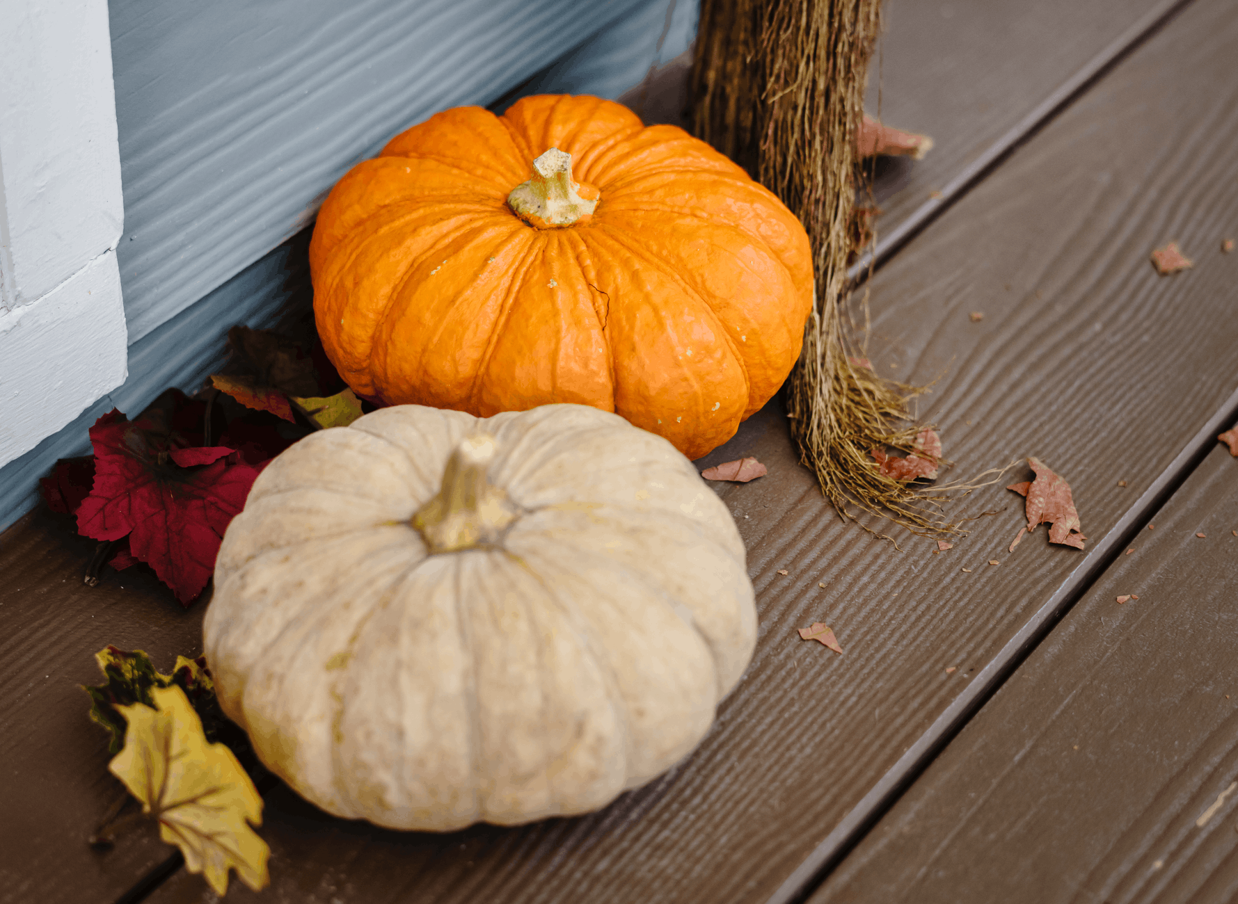 New Lexington Fall Festival | Things To Do Near Hocking College this September